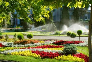 How To Choose The Best Irrigation System For Your Florida Landscape