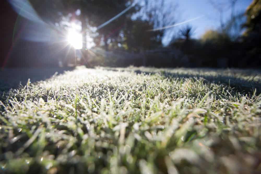 Proper Care For Your Lawn During Florida’s Winter Dry Season