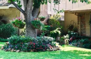 Why Florida Native Plants Are Smart for Landscaping