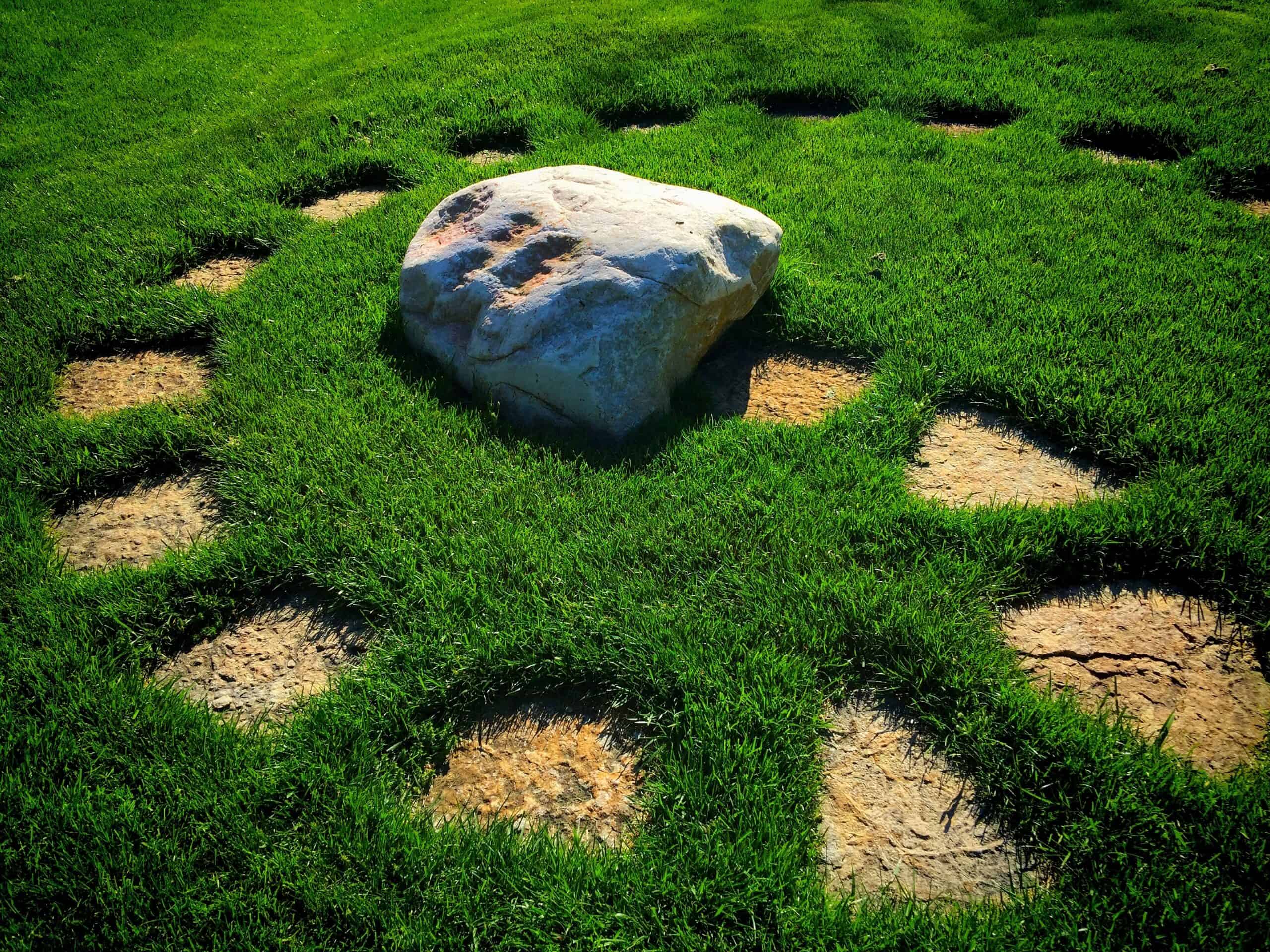 Luxury Outdoor Living: Elevate Your Entertaining Space With Turf and Hardscapes
