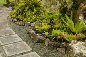 Custom Landscape Design Tampa