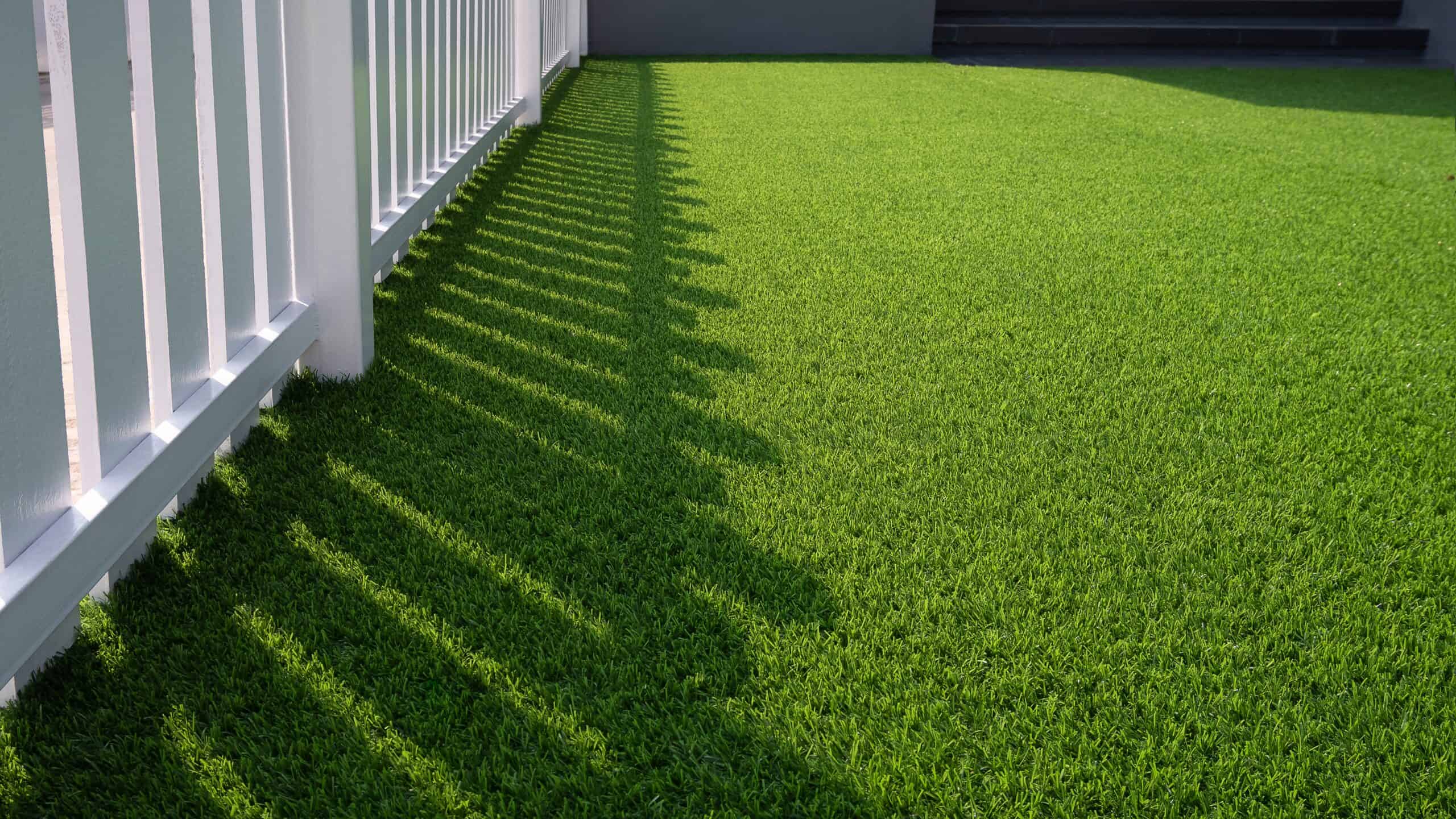 natural grass or artificial turf in Tampa